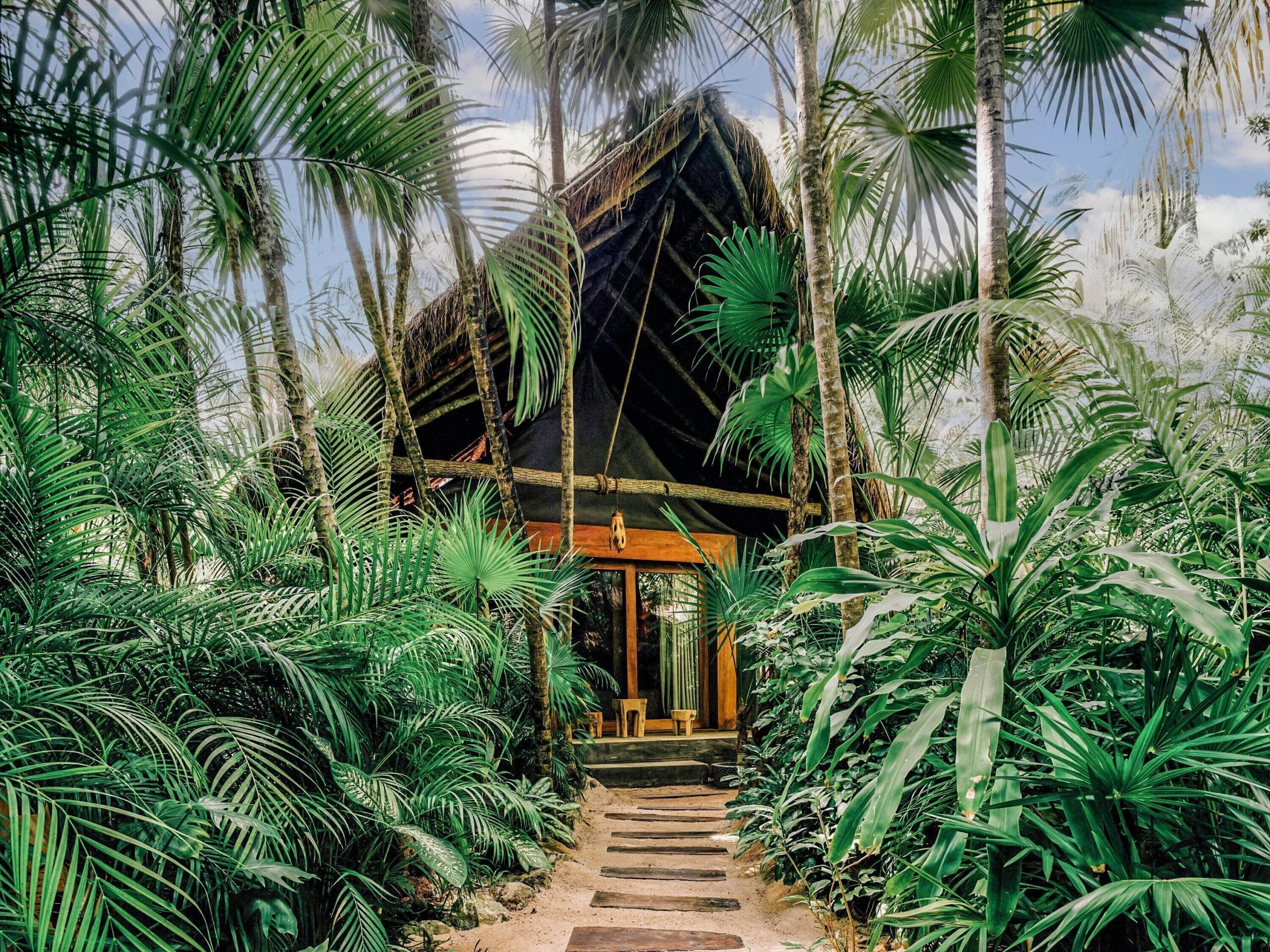 Jungle entrance to Nomade Temple Tulum